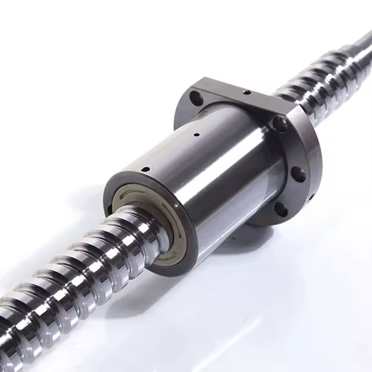 WhatsApp Image 2025-05-31 at 6.02.37 PM (1)