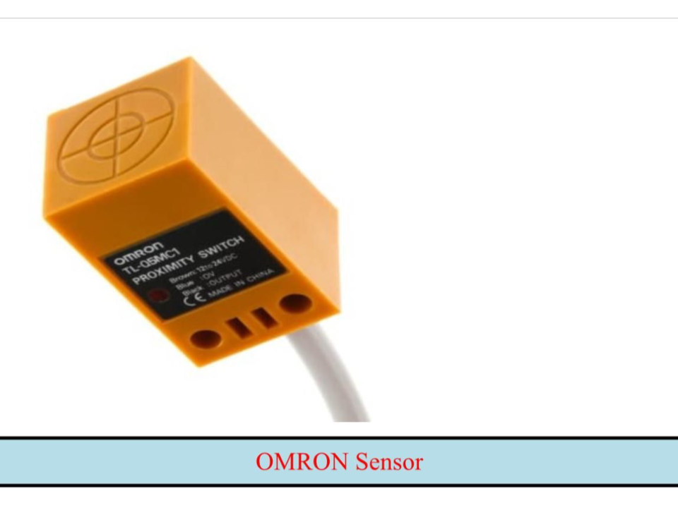 WhatsApp Image 2025-05-31 at 6.02.38 PM